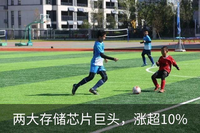两大存储芯片巨头，涨超10%