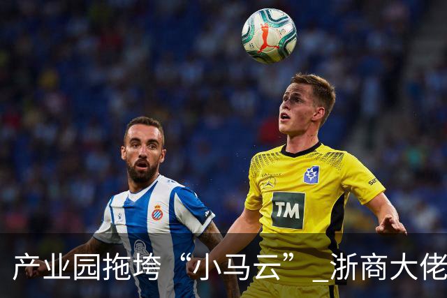 产业园拖垮“小马云” 浙商大佬被立案侦查