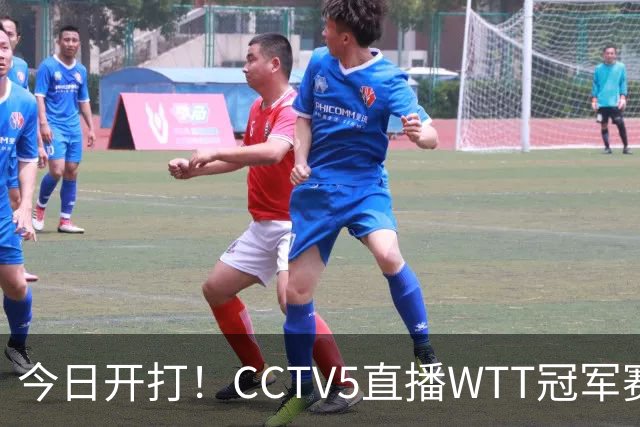 今日开打！CCTV5直播WTT冠军赛，国乒一共5场外战，19点开赛