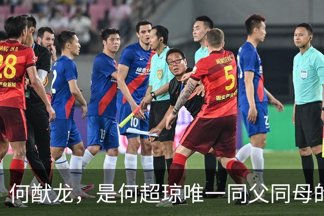 何猷龙，是何超琼唯一同父同母的亲弟弟