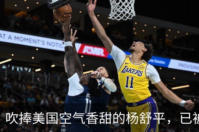吹捧美国空气香甜的杨舒平，已被美国驱逐出境，回国后处境悲凉