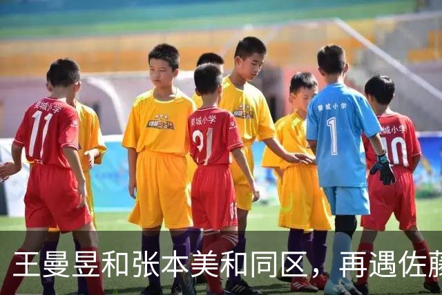 王曼昱和张本美和同区，再遇佐藤瞳，孙颖莎和早田希娜同区