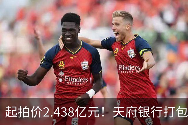 起拍价2.438亿元！天府银行打包拍卖所持天府金融大厦110套房产及车位：约3700平方米被占用，欠租债权将随楼转移→