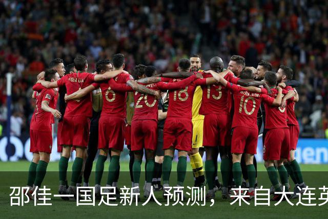 邵佳一国足新人预测，来自大连英博的他有望入选，值得期待