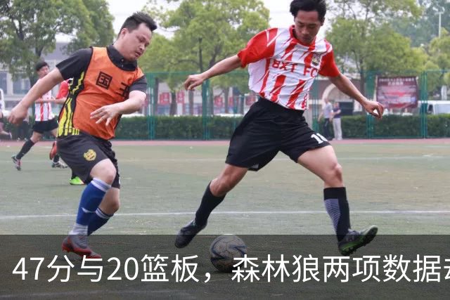47分与20篮板，森林狼两项数据却换不来一场胜利