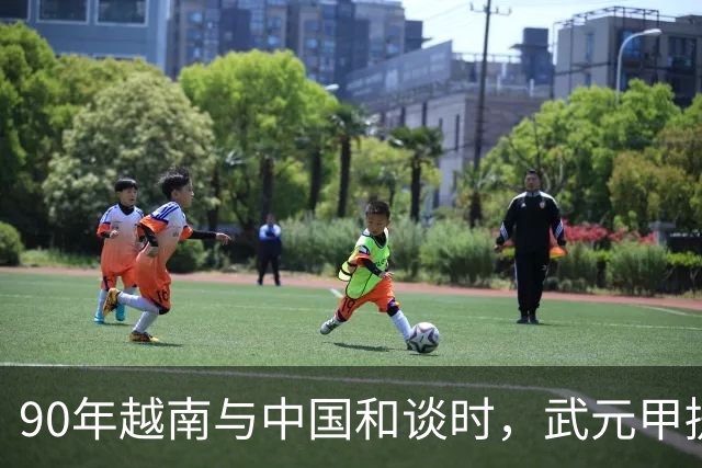 90年越南与中国和谈时，武元甲提议见杨得志，杨得志断然拒绝！